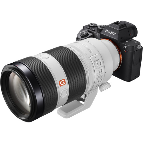 °SONY FE 100-400mm/4.5-5.6 G-Master GM OSS [full-frame Sony E-mount]   E77